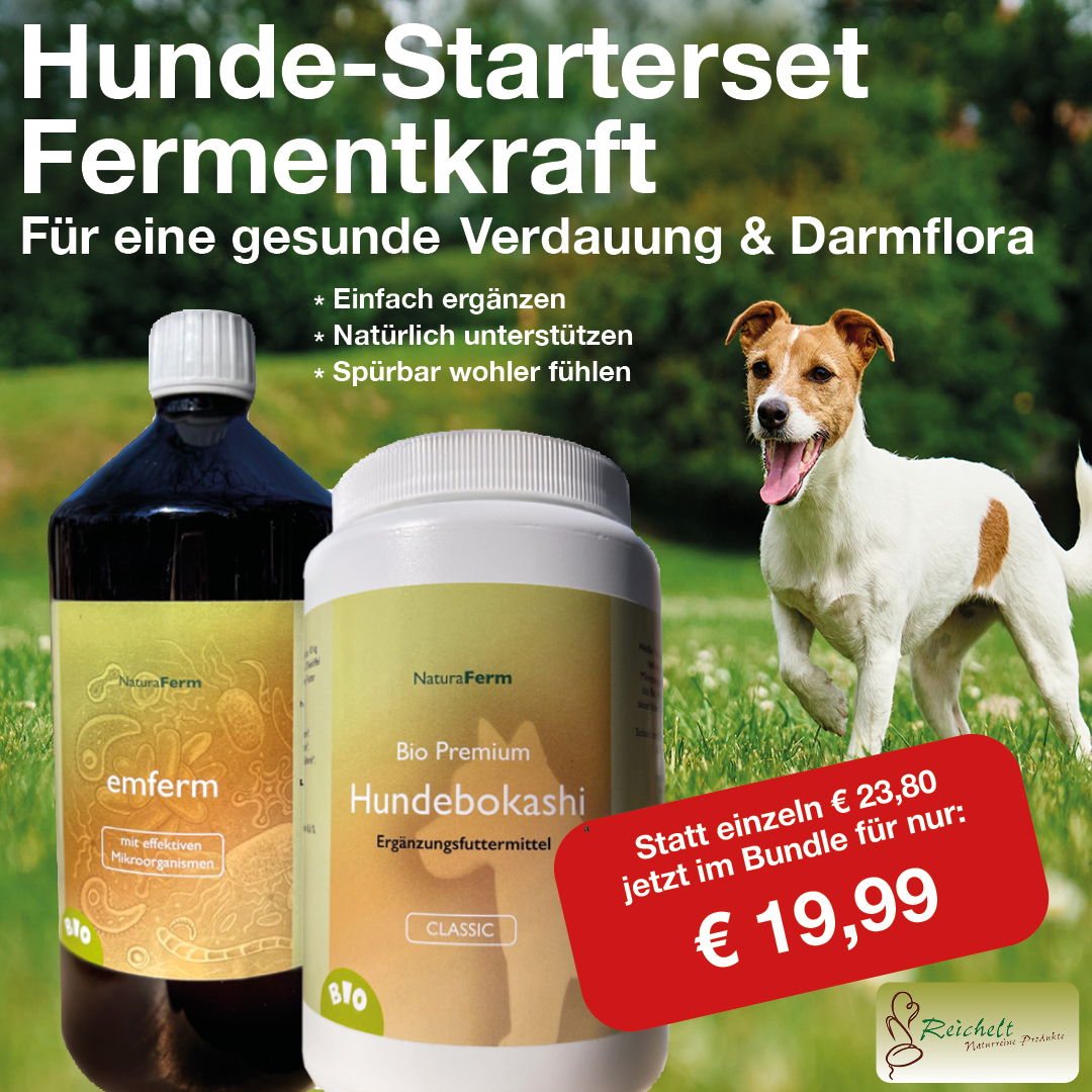 Hunde-Starterset Fermentkraft – Für gesunde Verdauung & Darmflora