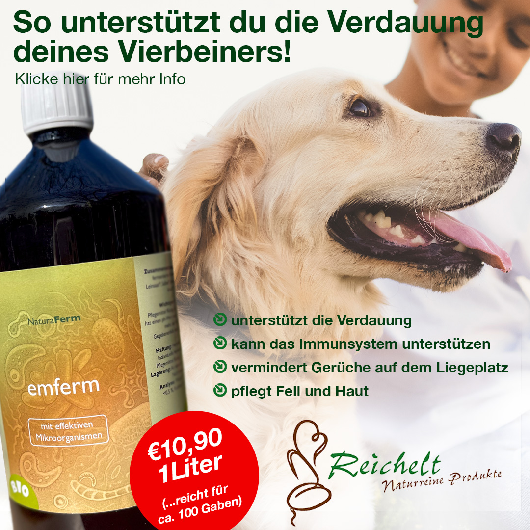 Benefits - Übersicht